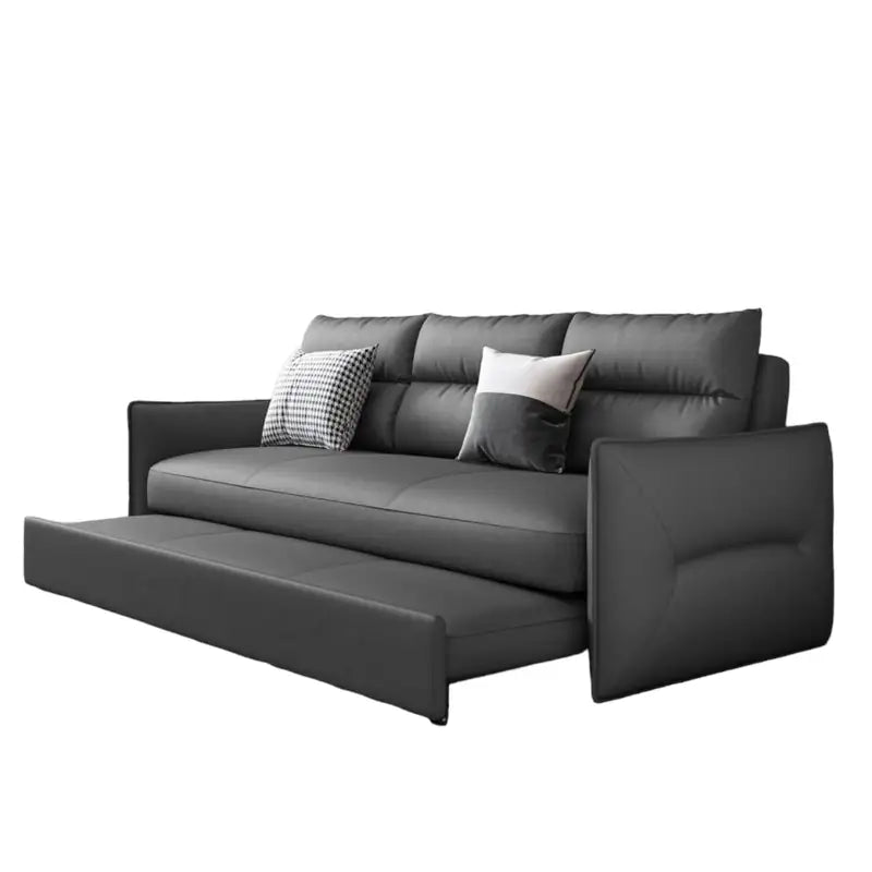 Faux leather sofa bed with hidden storage, shown as a flexible seating and sleeping option in another custom view